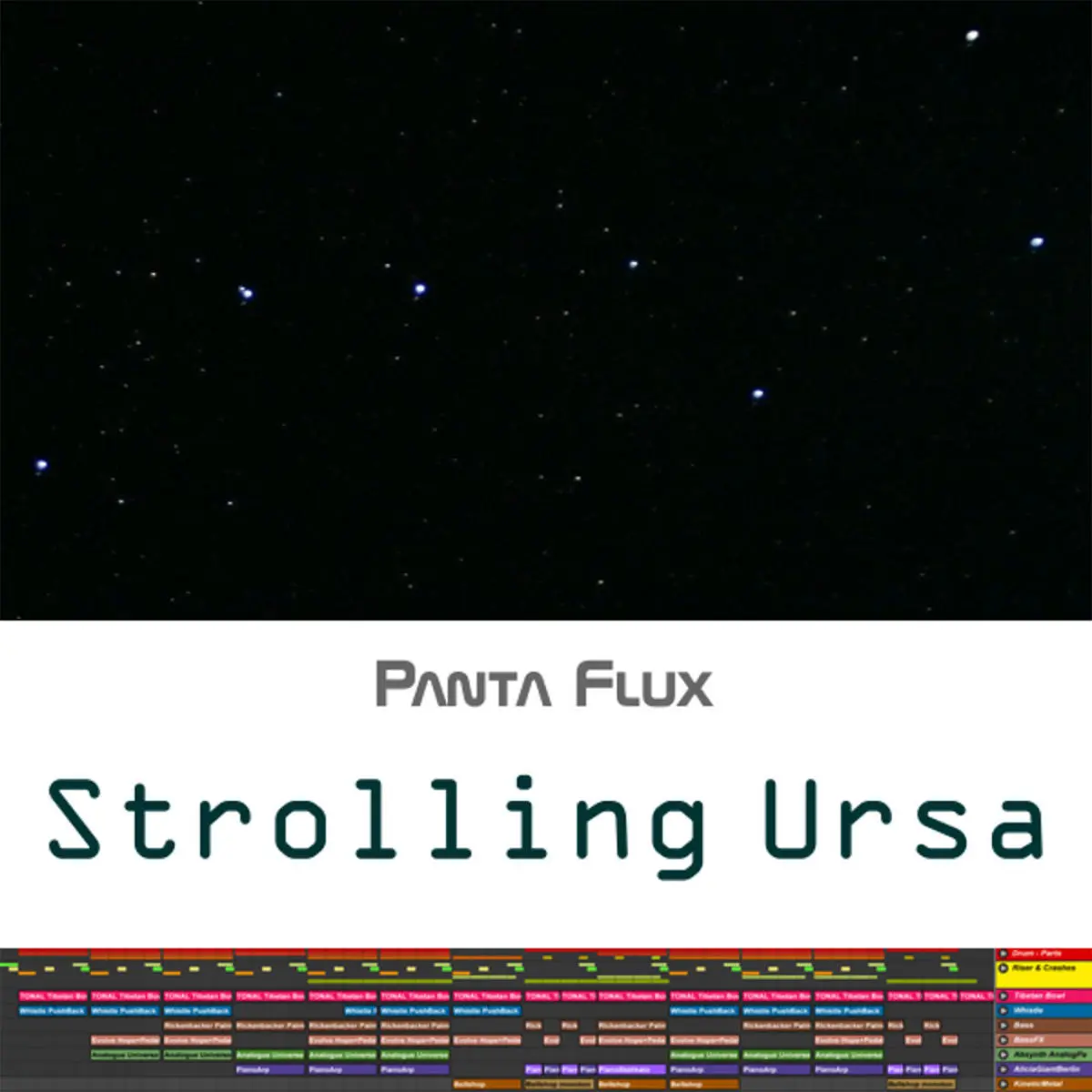 Strolling Ursa-Cover